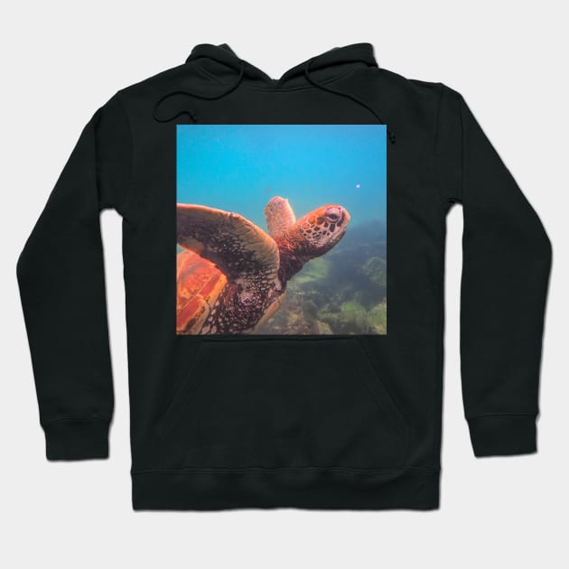 Save The Turtles Hoodie by Felicity-K